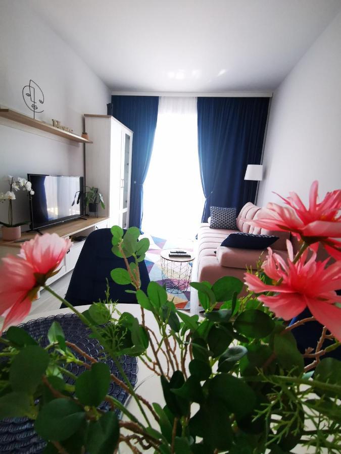 Karra Residence Timisoara - Autorizat Ministerul Turismului Extérieur photo