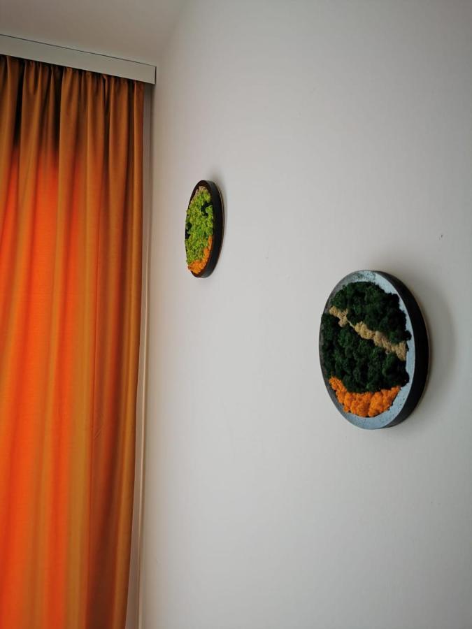 Karra Residence Timisoara - Autorizat Ministerul Turismului Extérieur photo