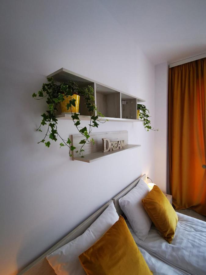 Karra Residence Timisoara - Autorizat Ministerul Turismului Extérieur photo
