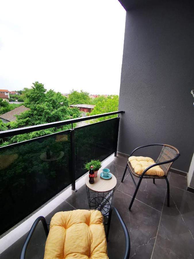 Karra Residence Timisoara - Autorizat Ministerul Turismului Extérieur photo