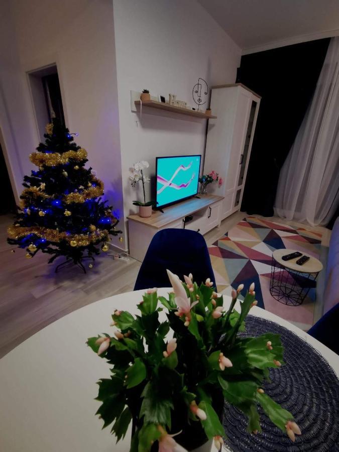 Karra Residence Timisoara - Autorizat Ministerul Turismului Extérieur photo