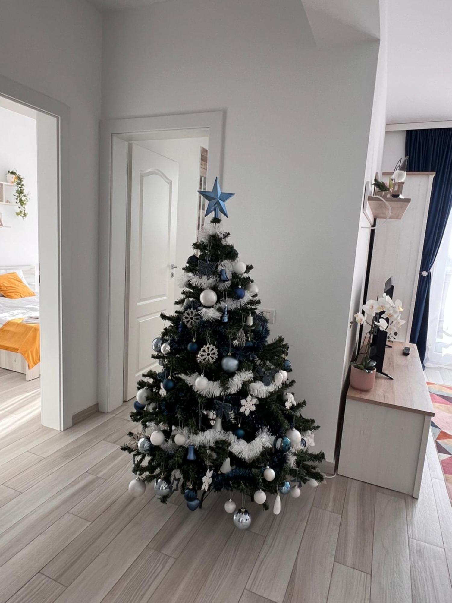 Karra Residence Timisoara - Autorizat Ministerul Turismului Extérieur photo