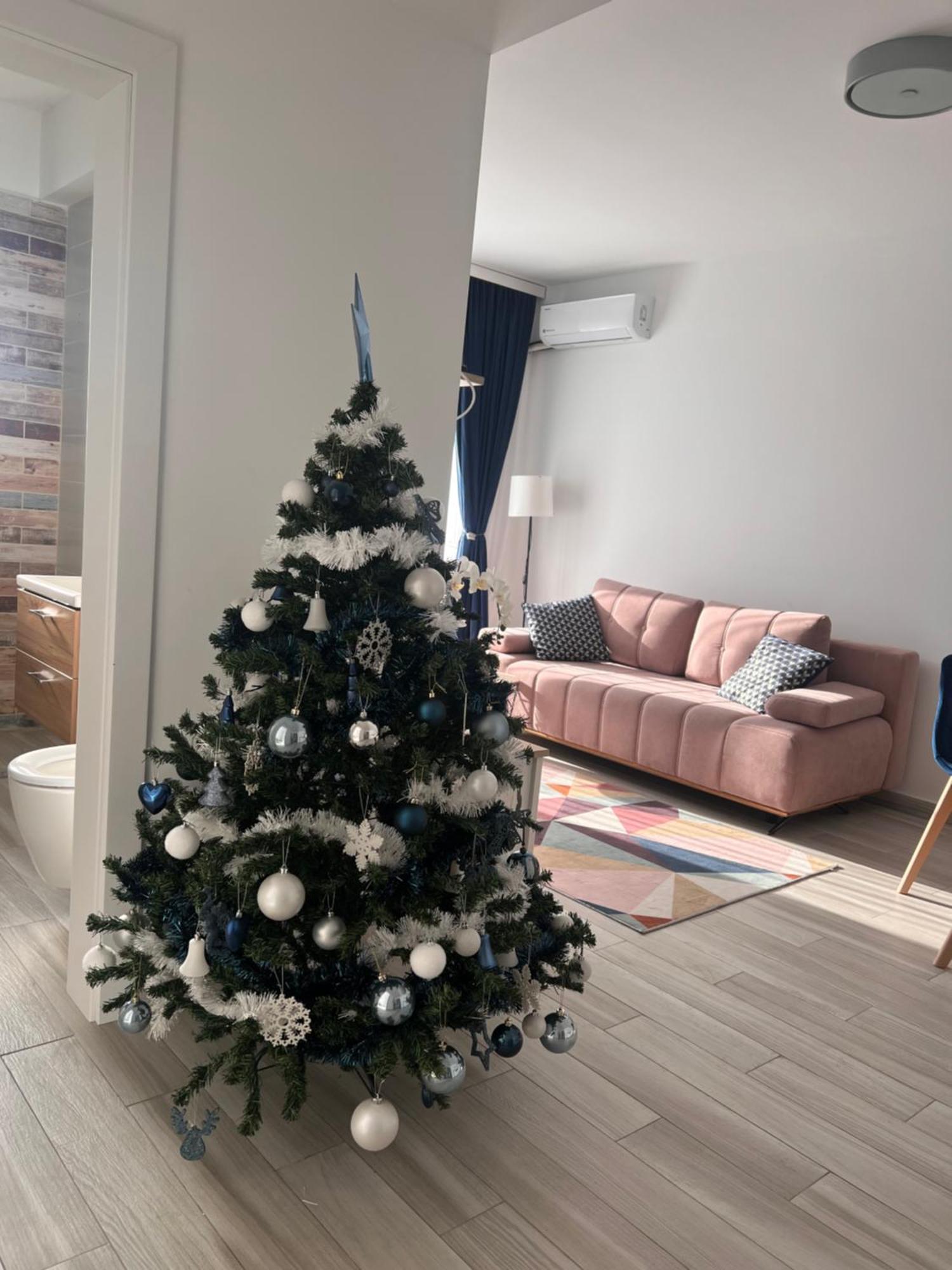 Karra Residence Timisoara - Autorizat Ministerul Turismului Extérieur photo
